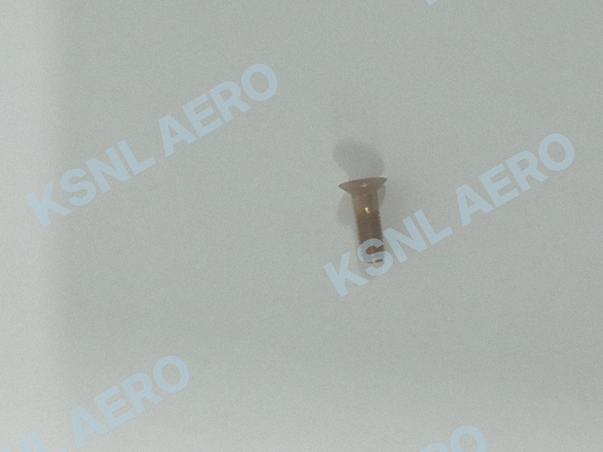 NAS517-3-3 Screw